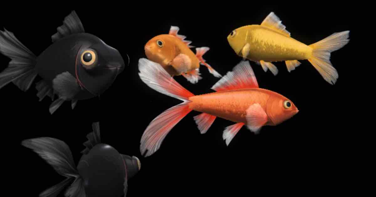 Screenshot of Goldfish: Realistic 3D goldfish simulator. Nine varieties, from oranda to black moor: feed, name and raise up to ten fish that grow. No tank to clean. Go fish!