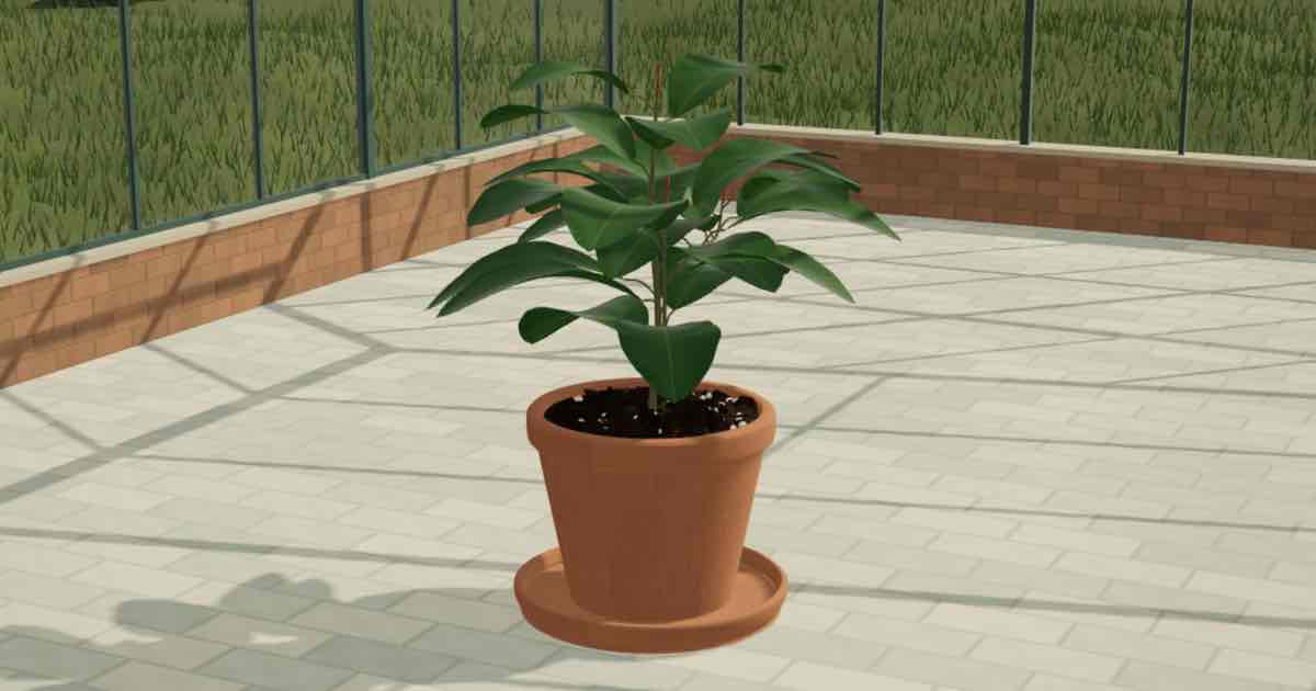 Screenshot of Living Greenhouse: Plant simulator in 3D (with clay pots). Arrange eight in a greenhouse, shape the leaves, move the sun, and export images. Don't have a green thumb? Great!