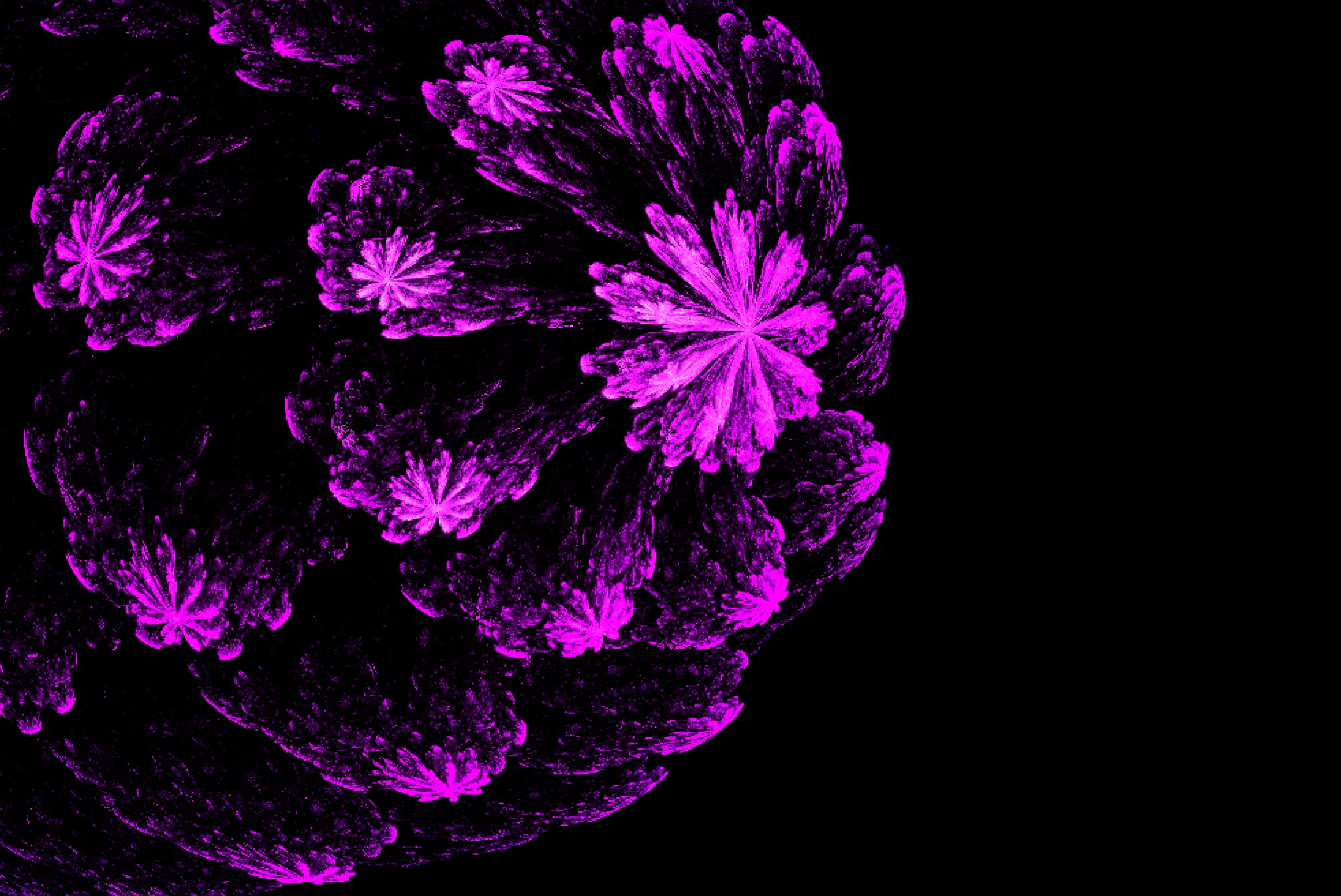 Screenshot of Petalworks: Fractal shader experience. Explore evolving petal-like mathematical structures — a real-time IFS fractal art tool with morphing parametric controls.