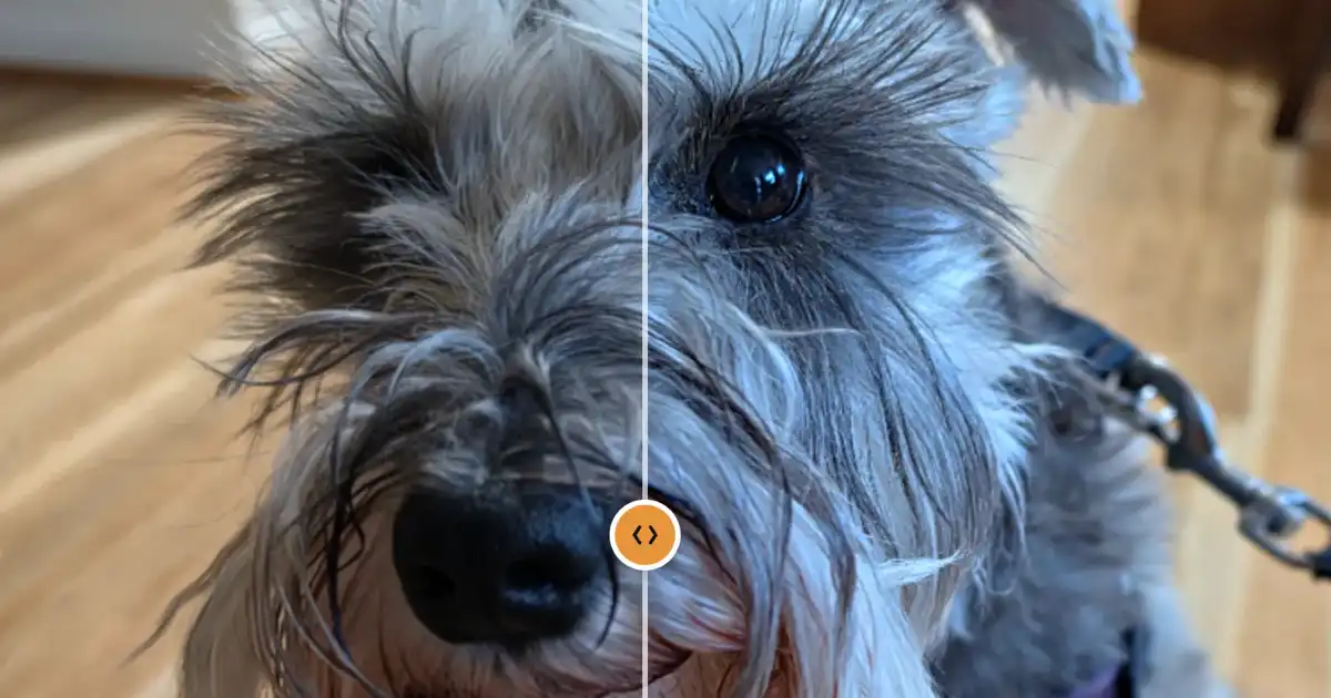 Screenshot of Photo Fixer: One-click photo enhancer for muddy phone photos. Auto-adjust exposure, contrast, and color — a free alternative to Snapseed and Lightroom auto-enhance.