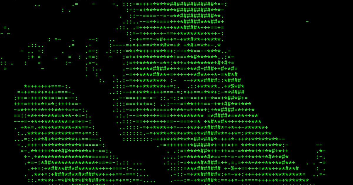 Screenshot of Terminal Vision: Live webcam-to-ASCII-art converter. Transform your camera feed into real-time text art — a free alternative to ASCII Webcam and jp2a with browser convenience.